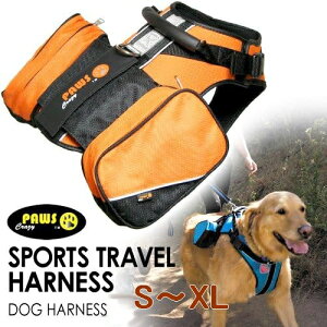 AEgbg@Paws X|[cgxn[lX@n[lX@obOE\@\n[lX@V[gxgɂIEBC^[iVi