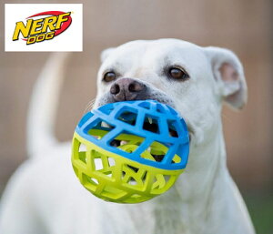 ^p NERF DOG tB[_[{[@g[c{[@m[pN{[@b`F@i[thbO@mgC@z[[[[DɁI5000~iŔjȏ㑗@/yRCPz