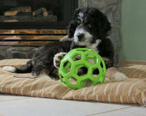 ^`^p@@JW@z[[[[{[ L bh5000~iŔjȏ㑗@yRCPzvbc