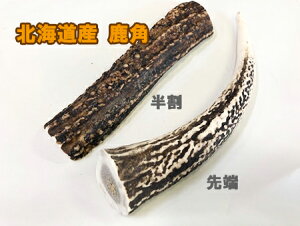 メール便可! 鹿の角 無添加天然 半割エゾ鹿のツノ でストレス解消!半割り★小中サイズ(12cm前後)★しか シカ ツノ 角 縦割り