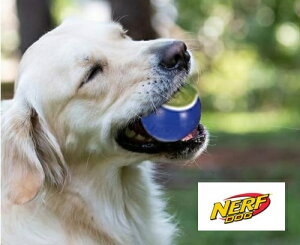 ^p NERF DOG o[{[@2.5i@b`F@i[thbO@2@vȃ{[I@ނƉ5000~iŔjȏ㑗@/yRCPz