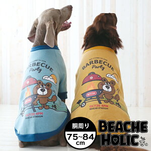 ^p BBQ@g[i[@Nс@3L@4Lyr[`FzbN@@hbOEGA @uh[@S[f@go[@hbOEFA@@