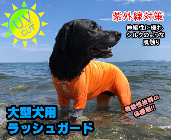 楽天市場】発売記念価格！大型犬用 GOLPARA ラッシュガード 雪遊び 