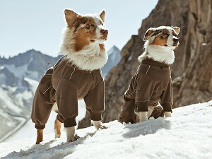 AEgbg@^@^@tb^@EH[^[v[tt[XI[o[I[@TCY:253 A303@Hurtta@tBhhbOEFA, SALE@l@@@h@Houndtex̗pI