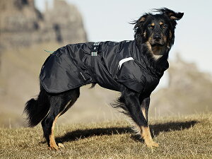 AEgbg@tb^@T~bgp[J[@^@Hurtta@tBhhbOEFA, SALE@l@@@h@Houndtex̗pI