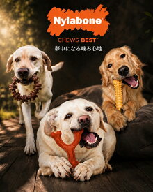 大型犬用 ナイラボーン　デュラチュウ 　パワーチュウ　リングタイプ　ウィッシュボーン　Lサイズ　ビッグサイズスーパーサイズ　ジャイアントサイズ　パッケージなし