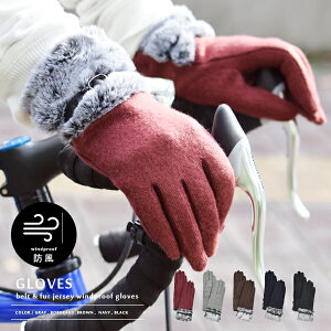  h xg xg Ԃ O[u ] fB[X  t@[ W[W N h ۉ g ʋ ʊw TCNO TCN i IV 킢 ӂӂ oC