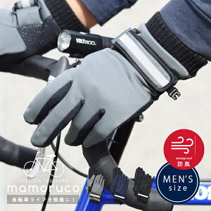  ] h xg Ԃ O[u Y j 傫 ˍ ~ TCY N h ۉ g ʋ ʊw TCNO TCN AEghA IV Vv JW