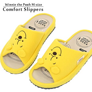 v[ Xbp MTCY 22cm 24cm  hJ CG[ O disney [V[Y 킢  tFCX Vv pooh PA OJ RtH[g