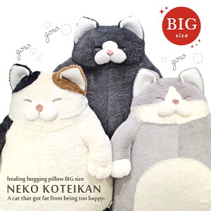 BIGTCY Kđ˂   ʂ LN^[ L cat ˂m芴 K lR ˂ L ܂ NbV  ӂӂ 킢 v[g 