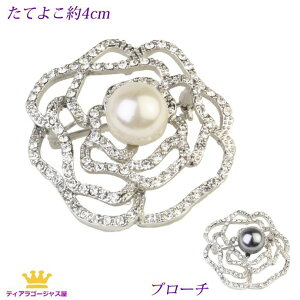 24܂12N[|  u[` XtXL[ p[ o KN ΂ [Y RT[W tH[} fB[X 嗱p[ J[2F ubN zCg w Ǝ Xe