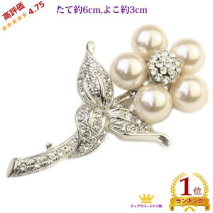 24܂12N[|  u[` p[  XtXL[ Ǝ  w   tH[} p[ ؂  X[c J[fBK WPbg AE^[ 