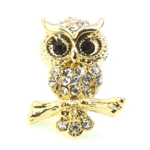 24܂12N[|  u[` ^C^bNs su[` sobW sY X[c tNE ӂ낤  sJ Y XtXL[ S[h Y fB[X 킢