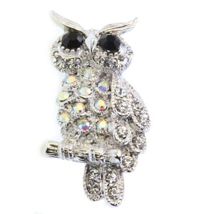 24܂12N[|  u[` ^C^bNs su[` sobW s^bN sY X[c tNE ӂ낤  sJ Y XtXL[ Vo[ Y fB