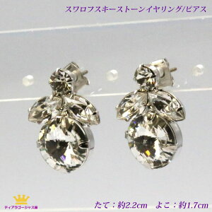  CO sAX fB[X Vo[ XtXL[ LL ɂȂ LL hX EFfBO  I p[eB[ Xe[W ANZT[ JIP Mtg v