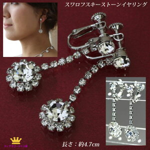  CO sAX Ԃ炳 fB[X  VOC XtXL[ ɂȂ LL hX EFfBO  I p[eB[ Xe[W ANZT[ J