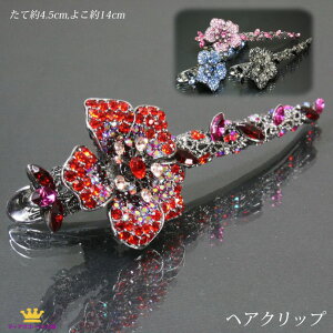  wANbv wAANZT[  ΂Nbv _bJ[Nbv ܂Ƃߔ Ă΂  XtXL[ S[WX   wAAW JIP Mtg v