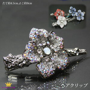 24܂12N[|  wANbv _bJ[Nbv ܂Ƃߔ wAANZT[ XtXL[ ΂Nbv ǂ wAAW ܂Ƃߔwn0-02 Xe[W ANZT