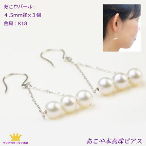  sAX p[ gvp[ h {^  ^  fB[X Ԃ炳  tbNsAX zCgS[h  K18 fUCsAX 3t 4.5`5.5mm tH[