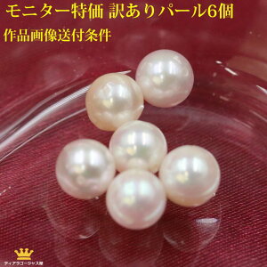 󂠂p[ ^ [X 6  p[ o KiO ꗱ  o ANZT[ޗ ANZT[ nhChVbv | ANZT[ o^ ^ 