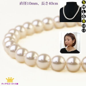 p[lbNX 40cm a1cm  tH[} zCg ubN vZXTCY 1Z`a 40Z` w Ǝ JIP Mtg v[g prln-10-40
