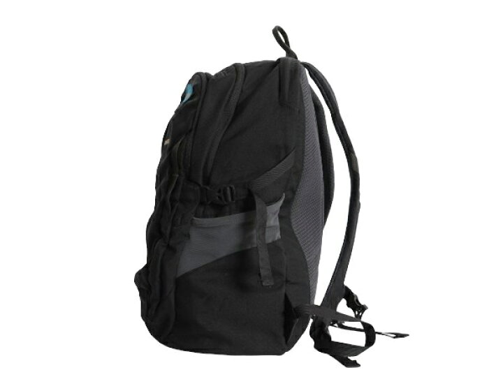 楽天市場】15年製 パタゴニア レフュジオ パック 28L リュックサック 