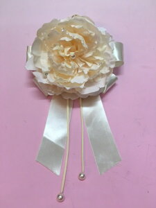 y BLACK FRIDAY |Cg5{z {t[Ǐ OWA[ CO󒍐Y@af863