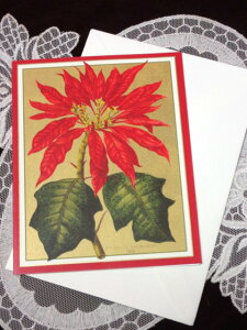 NX}XJ[h l JCC OWA[@xm367e