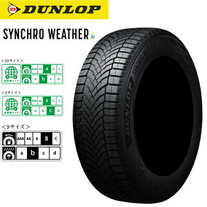 yViz_bv VNEFU[ 255/40R21 102V XLSYNCHRO WEATHER I[V[Y^C
