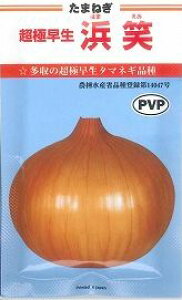 ܂˂ ɑ l iPVPj20ml JlRcij