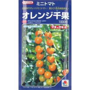 �~�j�g�}�g �I�����W��� 1000�� �^�L�C��c(��) [��q/���]