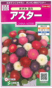 �Ԃ̎� �A�X�^�[ �����ݍ��� ��143�� (��)�T�J�^�̃^�l ����i026083�j