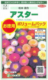 花の種アスター　松本混合　ボリュームパック約558粒　（株）サカタのタネ　実咲