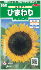 Ԃ̎ Ђ܂ ₫ 14 ()TJ^̃^l i026273j