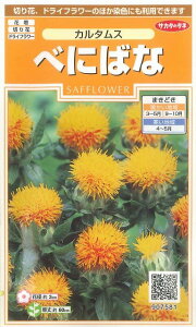 花の種 べにばな カルタムス 約22粒 (株)サカタのタネ 実咲(026026354)