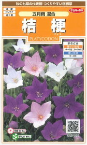 Ԃ̎ j[ ܌J 170 ()TJ^̃^l q026315j