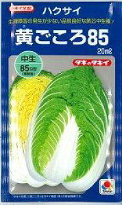  85 20ml ^LCc()