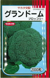 ブロッコリー グランドーム 2000粒 (株)サカタのタネ [種子/野菜]