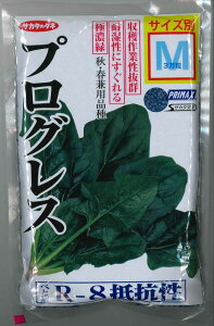 ق񂻂 vOX qTCYM 3 ()TJ^̃^l