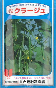 ���イ�� �N���[�W�� 350�� (��)�Ƃ��팤���� [��q/���]