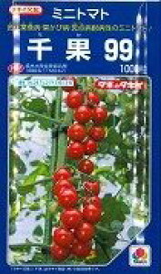 �~�j�g�}�g ���99 1000�� �^�L�C��c(��) [��q/���]