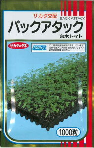  (g}gp)obNA^bN 1000 ()TJ^̃^l