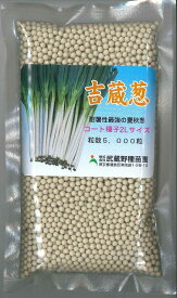ねぎ 吉蔵 2L コート種子 5000粒 (株)武蔵野種苗園