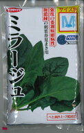 ほうれんそう ミラージュ Mサイズ 3万粒 (株)サカタのタネ [種子/野菜]
