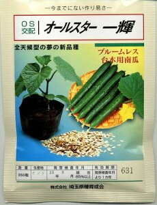 台木 (きゅうり用)オールスター一輝  350粒 (株)埼玉原種育成会