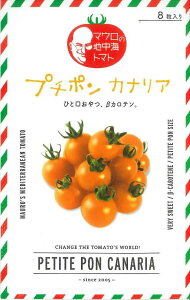 ~jg}g v`| JiA 8 TiebNV[hij