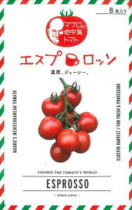 g}g }E̒nC~jg}g GXvb\ 8 TiebNV[hij