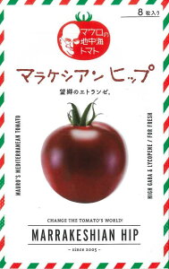 g}g }E̒nC~jg}g }PVAqbv 8 TiebNV[hij