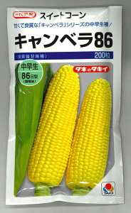 �Ƃ����낱�� �L�����x��86�@ 200�� �^�L�C��c(��) [��q/���]