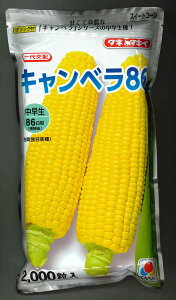 �Ƃ����낱�� �L�����x��86�@ 2000�� �^�L�C��c(��) [��q/���]